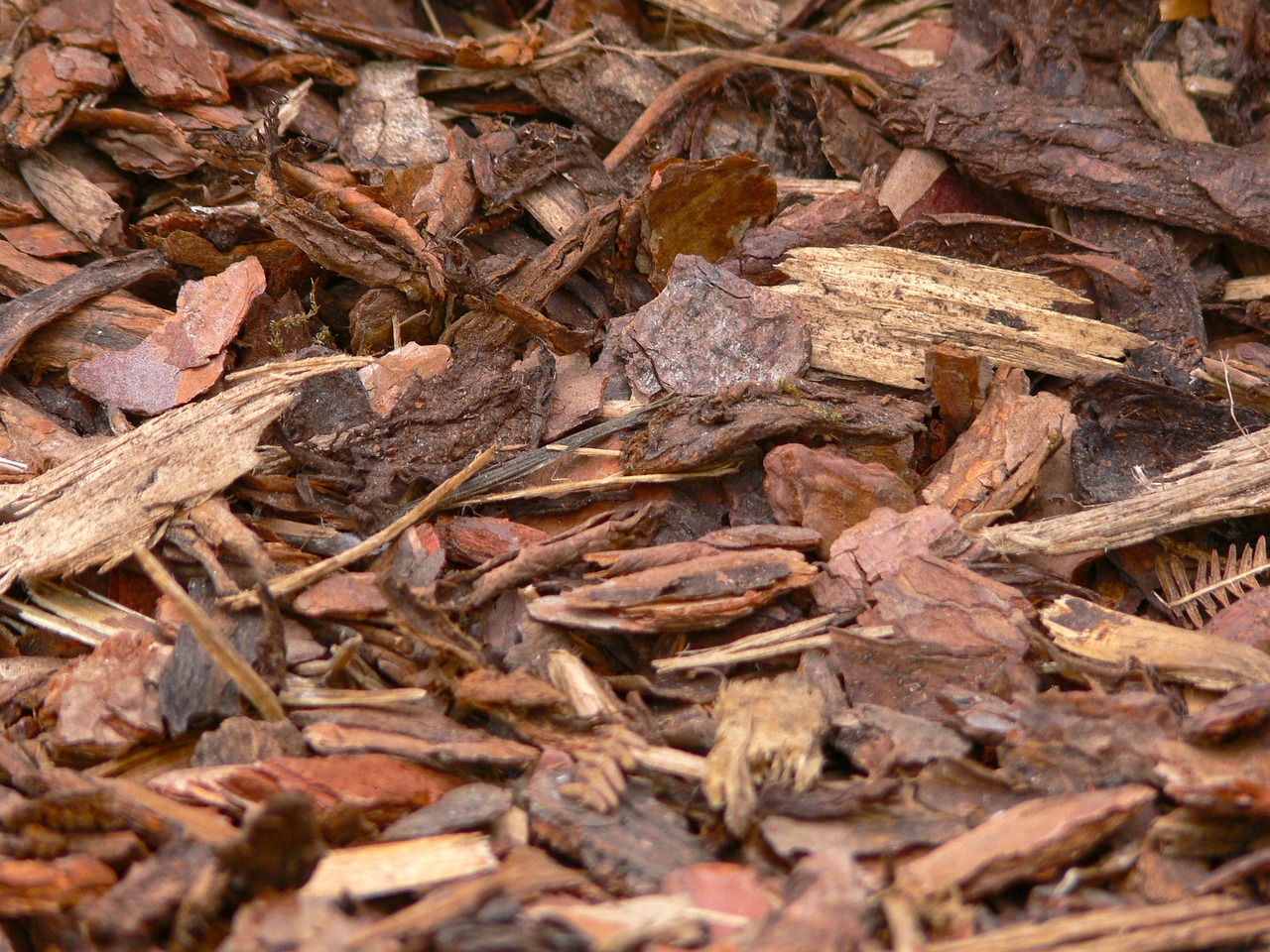 brennholz-buck Rindenmulch